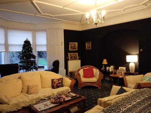 Спільний лаунж/ТБ зона, The Limes Guesthouse Montrose in Монтроуз