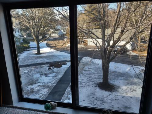 Farmington Guest Housing in Farmington (CT)