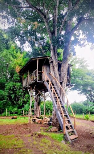 Casa Del Árbol - Ometepe (Casa Del Arbol - Ometepe) in Santa Cruz