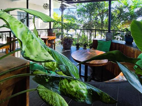 Green Turtle Backpackers Guesthouse, Puerto Princesa 2
