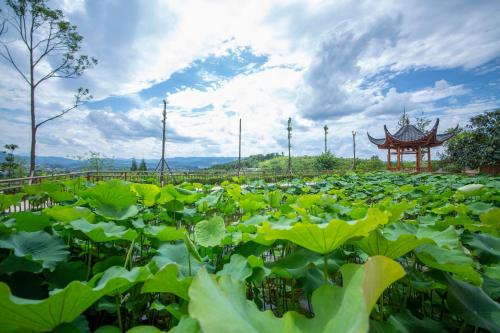 Zhangjiajie Tianmen Mountain Villa Resort B&B - Fenghuang