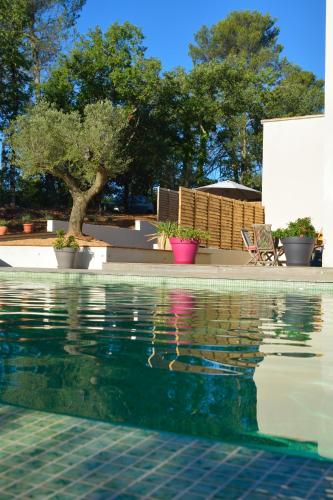 Sous les oliviers - Piscine chauffée à débordement- Studios climatisés