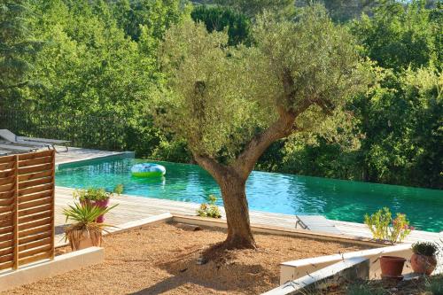 Sous les oliviers - Piscine chauffée à débordement- Studios climatisés