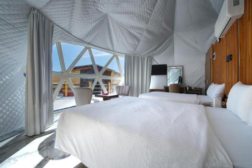 The Rock Camp Petra in Petra