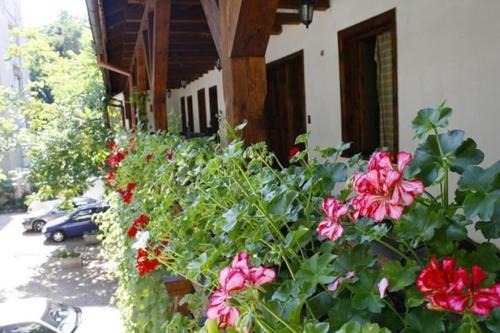 Entrada, Hostel Mostel Sofia in Sofia City Center