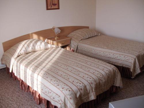 Hotel Velbazhd - image 2