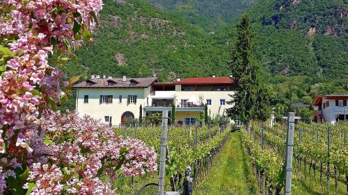  Brandlgut, Pension in Bozen bei Frassinetto