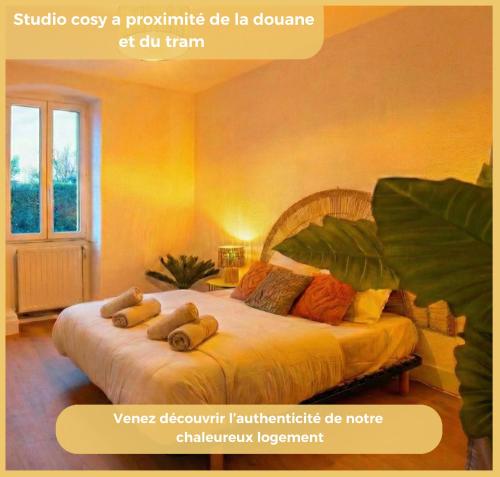 L'Amara I T1 I Gaillard