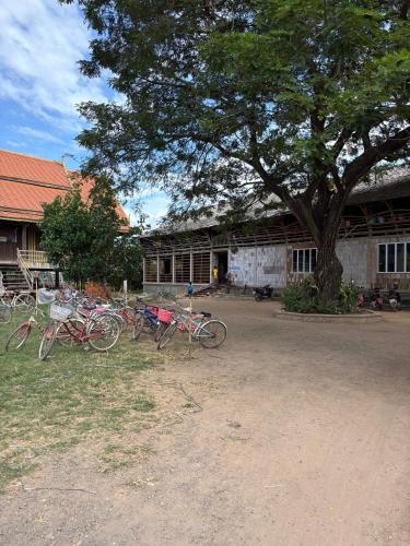 Taman, OBT Homestay and Bungalows in Kampong Cham