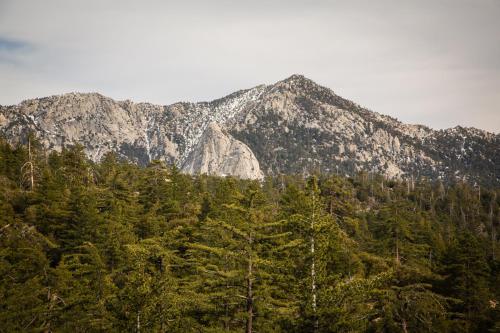 Idyllwild Camping Resort Wheelchair Accessible Cottage – Idyllwild, CA