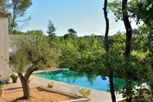 Sous les oliviers - Piscine chauffée à débordement- Studios climatisés - Chambre d'hôtes - Saint-Maximin-la-Sainte-Baume