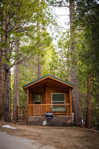 Idyllwild Camping Resort Cabin in Idyllwild, USA