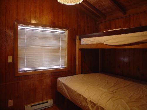 Idyllwild Camping Resort Cabin in Idyllwild, USA