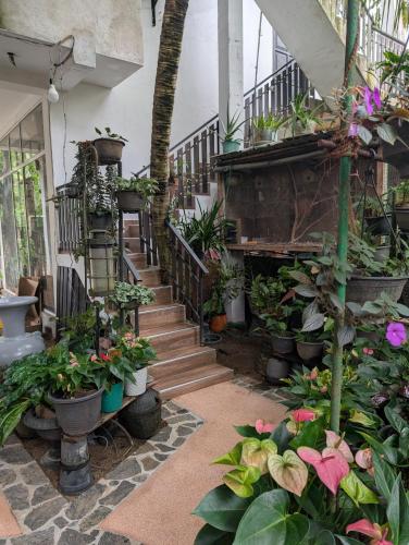 Little Villa Habaraduwa - image 2