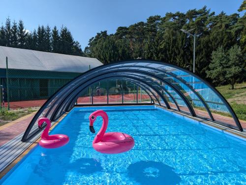Басейн, Całoroczny drewniany domek Superior i apartamenty Eko-oaza w Krynica Morska-Piaski (Caloroczny drewniany domek Superior i apartamenty Eko-oaza w Krynica Morska-Piaski) in Modrzyca