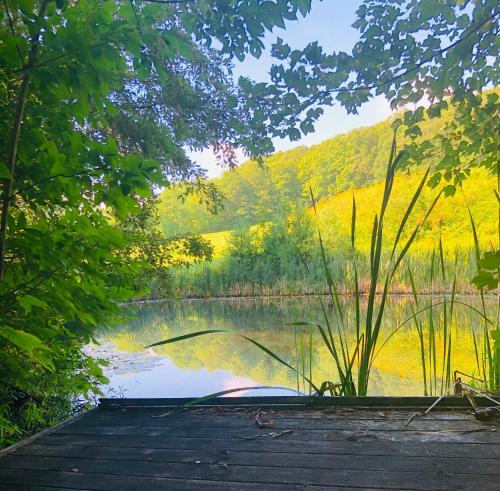 Skats, Elegant Private Barn Apartment in E Dover with 50 mile view in Dover (VT)