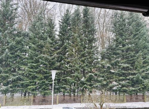 Fichtenblick in Selb, Deutschland