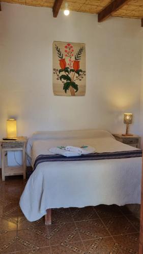 Cardones de Molinos in 몰리노스