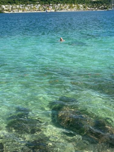 LaVista Antigua- Whole Property Rental in Mamora Bay