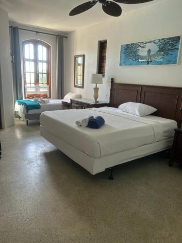 LaVista Antigua- Whole Property Rental in Mamora Bay