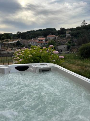 Casa Do Guarda Rios gîte à louer Várzea de Tavares