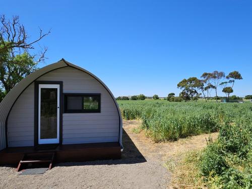 The Country Cabin with a View