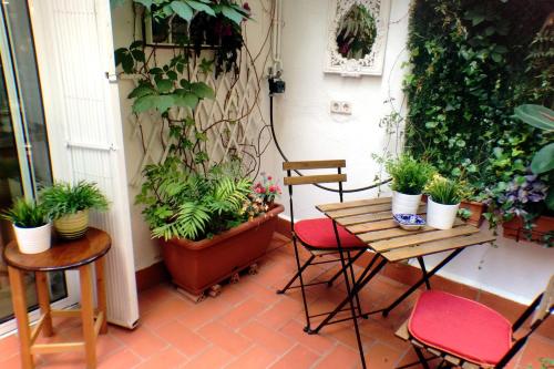 Casa Tortilla Gracia - image 10