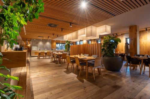 ヴィソケー・ミート Kapka resort 3つ星 ホテル プール