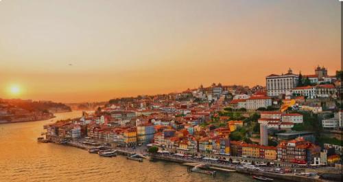 Oporto Down Town, Porto