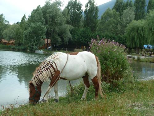 Camping La Motte Flottante