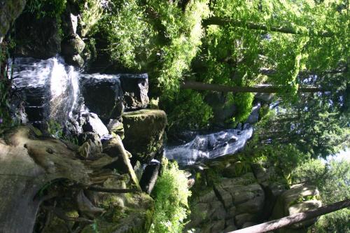 Közeli látványosságok, Pension & FeWo's Talblick in Eibenstock