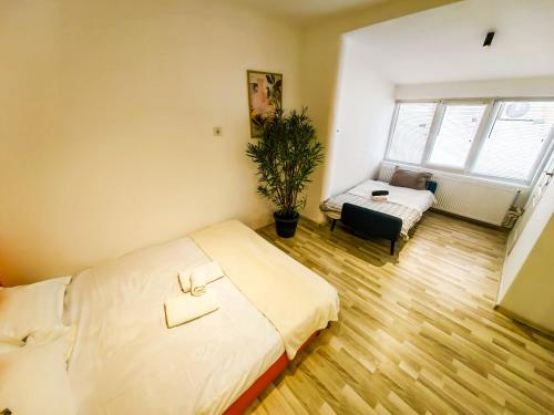 1 double bed, 1 sofa bed