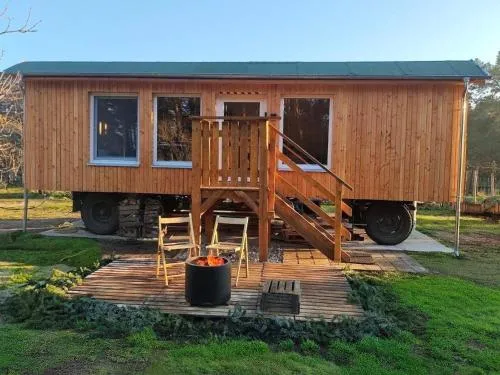 Tiny House am Waldrand in Heideblick, Deutschland