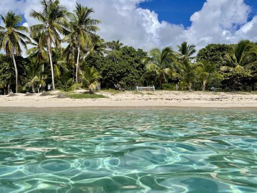 Ecolodge petite villa Marie-Galante in Capesterre-de-Marie-Galante