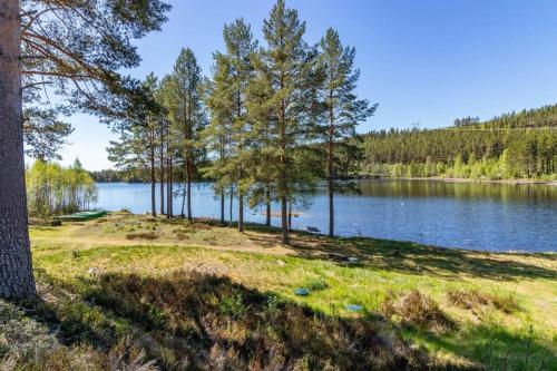 VAR947-Hagfors-Knoaende-10 in Laggasen