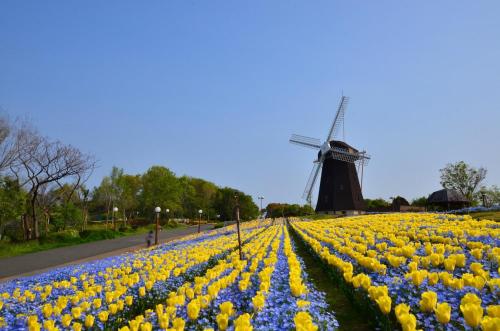 Tsurumi Green Base 2LDK