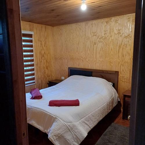 Refugio las Mariposas Chillán (Refugio las Mariposas Chillan) in Pinto