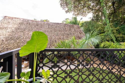 ทัศนียภาพ, Bahia Selvatica Lodge in อูบิตา