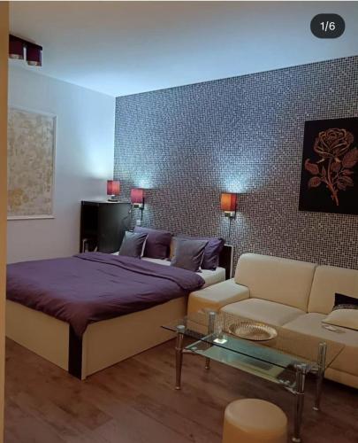 Studio Apartment Center