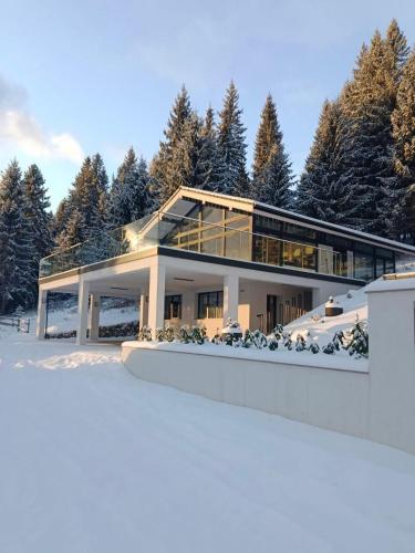 Berryhouse in Viškiva