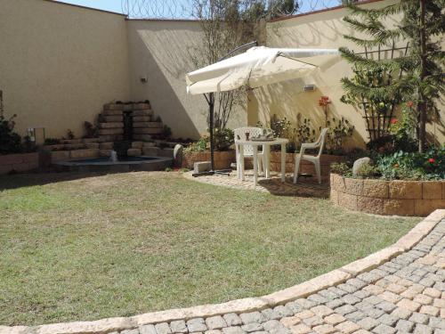 Jardín, Asimba Guest House in Mekelle
