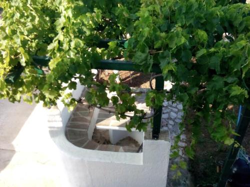 Dārzs, Natura Apartment in Psathaki