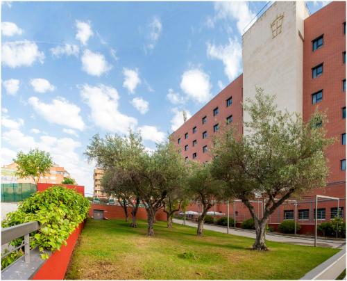 Extremadura Hotel - image 4