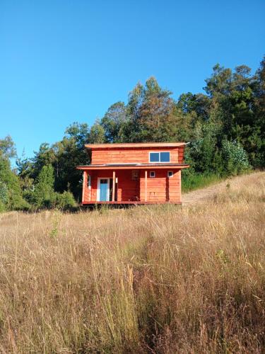 Tiny house Chucao