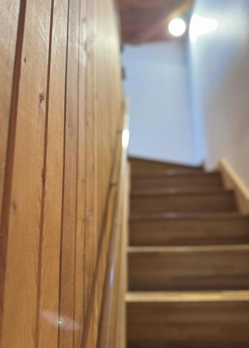 Cabin E Jacuzzi BBQ Hammock Lake Saiko Mt Fuji