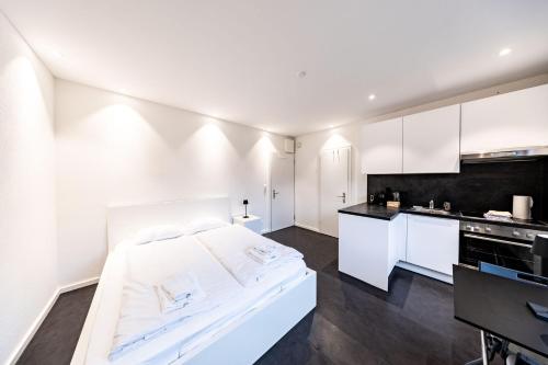 Lea Apartement - Ruhiges Studio in Schaffhausen, Schweiz