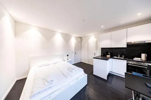 Lea Apartement - Ruhiges Studio in Schaffhausen, Schweiz