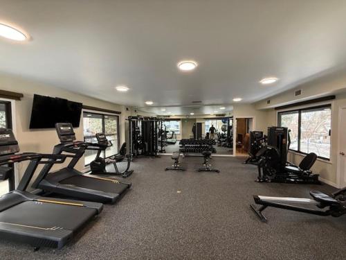 Chateau Roaring Fork Unit 25 - image 13