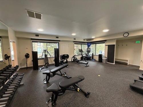 Chateau Roaring Fork Unit 37 - image 12