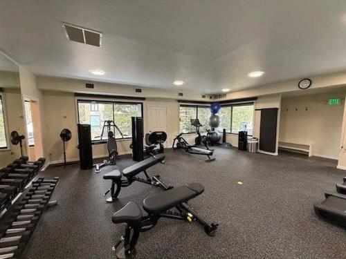Chateau Eau Claire Unit 1 - image 12